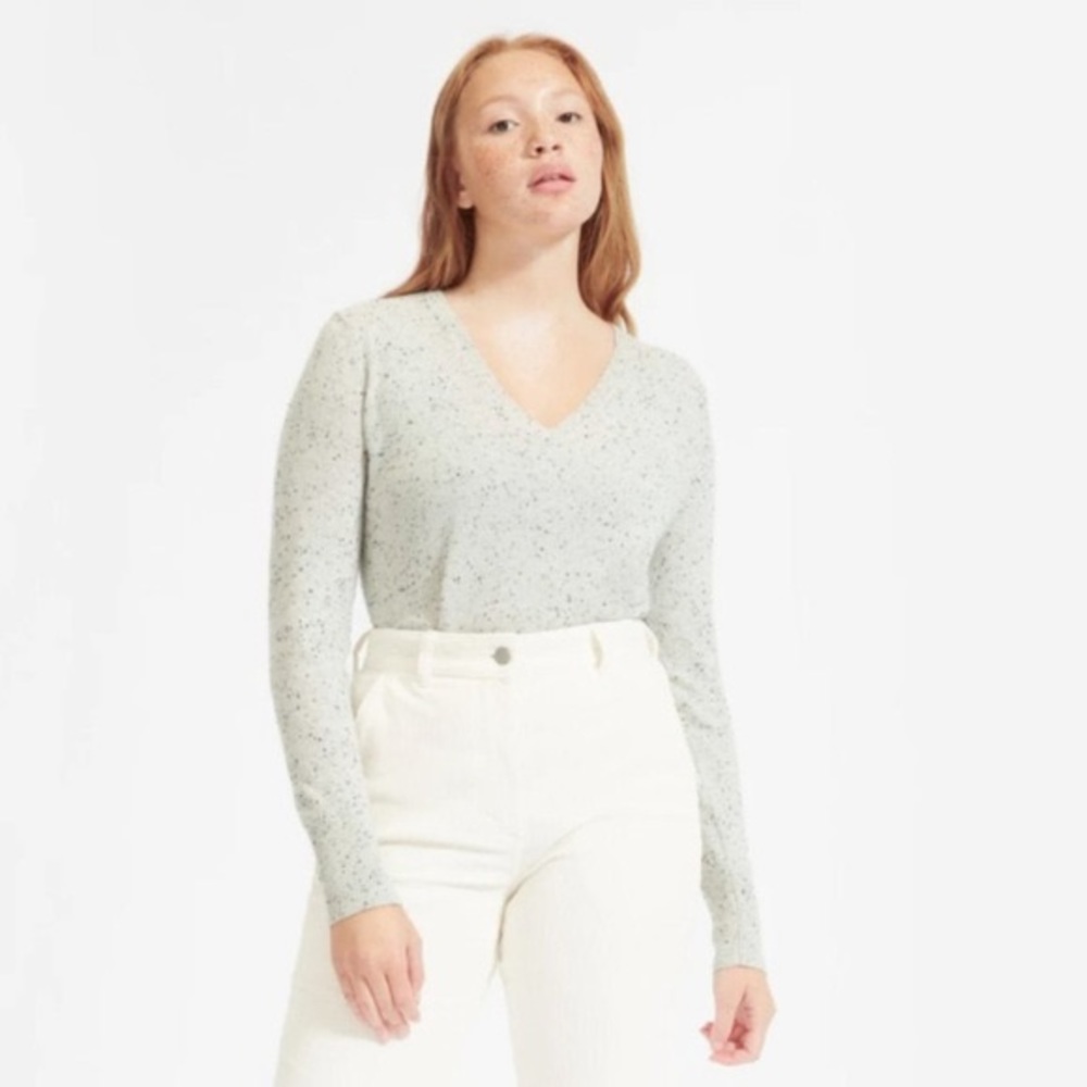 Everlane The Cashmere V-Neck